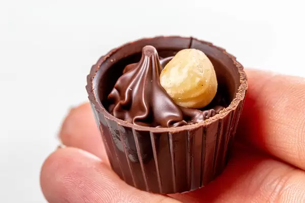 Chocolate candy with hazelnuts in a woman's hand (Flip 2019)
