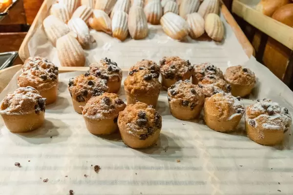 Chocolate muffins and madeleines with powdered sugar
