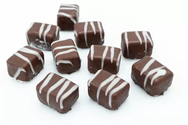 Chocolate Pralines on the white background