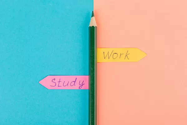 Choice between education and study concept