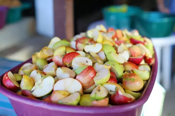 Chopped apples ready to for home-made apple juice (Flip 2019)