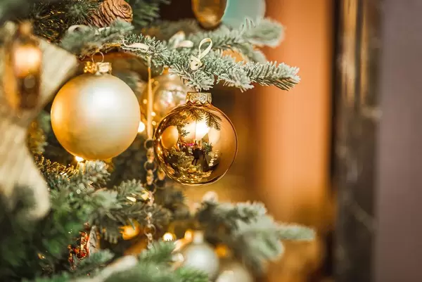 Christmas Ball Golden With Pines