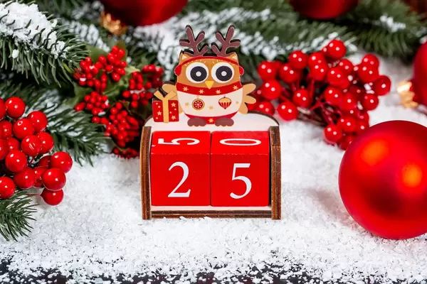Christmas Concept -First Day - Owl on number 25