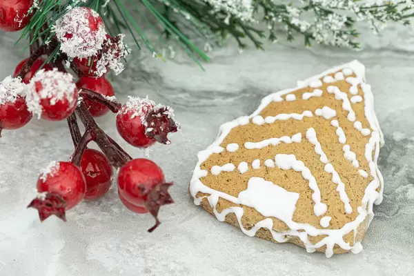 Christmas Cookie with branche decorations above grey background