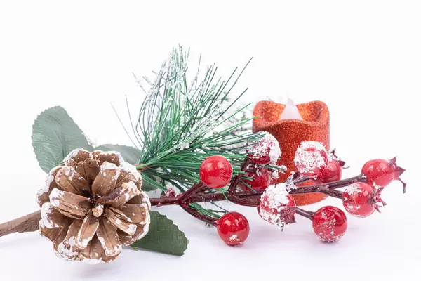 Christmas decoration with Fir Branches Cone and Snow