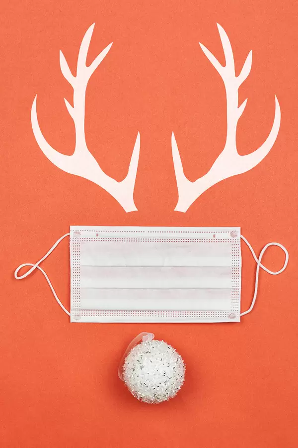 Christmas deer with medical face mask