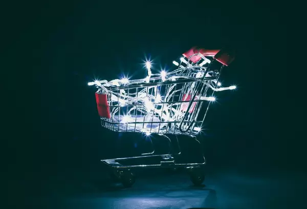 Christmas lights in shopping cart  Flip 2019