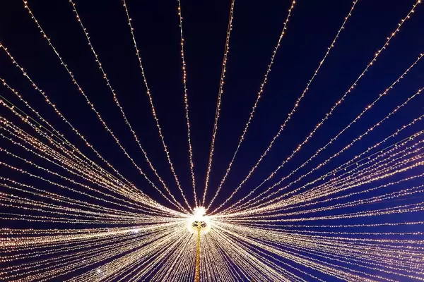 Christmas lights, star shape (Flip 2019)