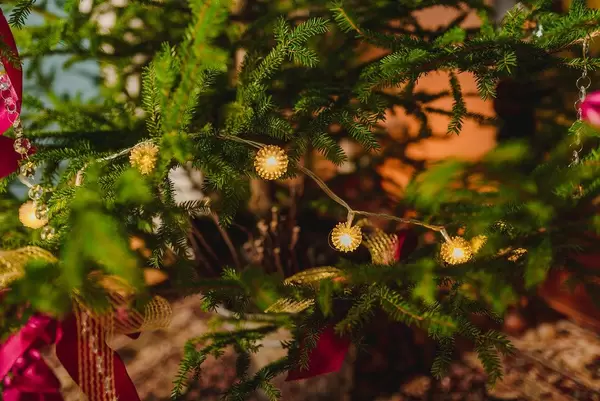 Christmas Lights With Red Ribbons