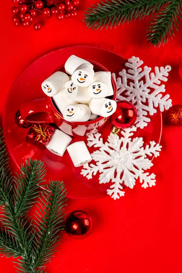 Christmas mood concept, marshmallows in a cup with decor and branches of a christmas tree on a red background