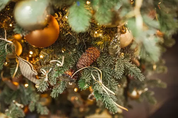 Christmas Pine With Golen Balls And Lights (Flip 2019)