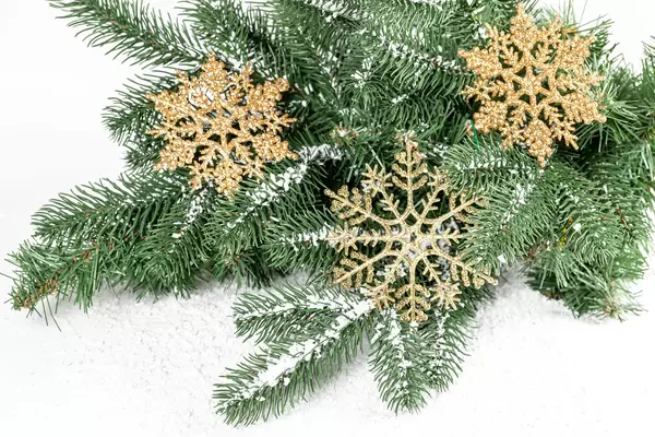 Christmas tree branches, golden snowflakes and snow