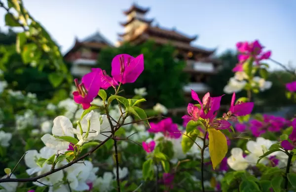 Chua Phap Hoa Pagoda in Saigon