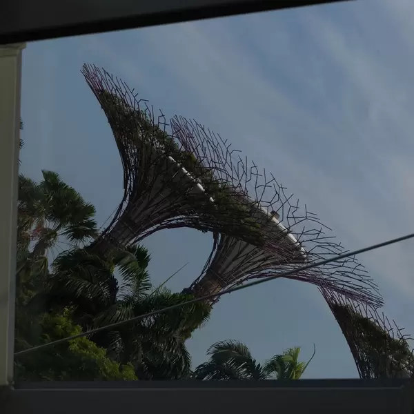 City Forest in Singapur bei Tag