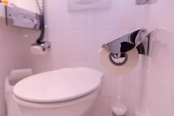 Clean toilet with enough paper at a restaurant