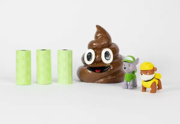 Clean up after your dog