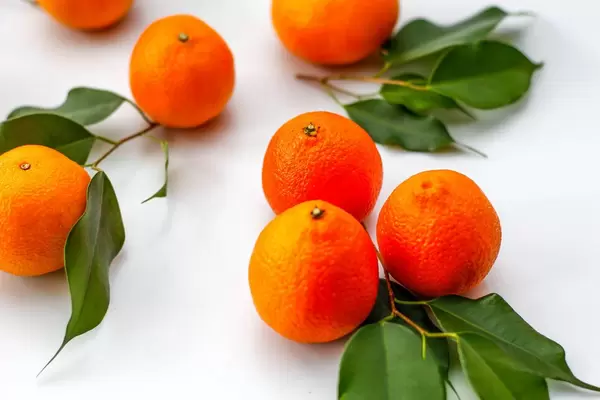 Clementine on a White Background