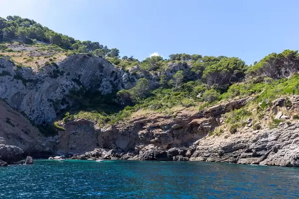 Cliffs and wild vegetation of Punta des Gavinots near Platja des Coll Baix. Excursion with Alcúdia sea trips