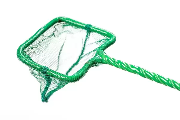 Close-up aquarium fish net on white background (Flip 2019)