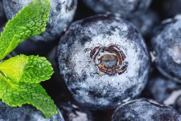 Close-up, blueberries with water drops