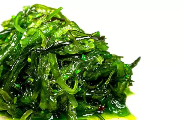 Close-up, chuka salad with sesame seeds and nut sauce