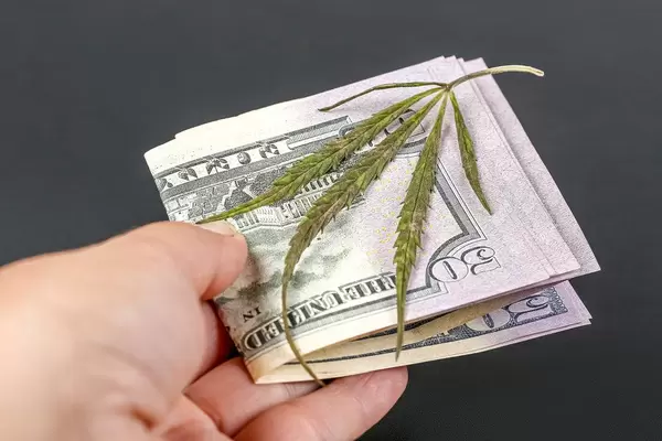 Close-up, dollars and a green cannabis leaf in a woman's hand