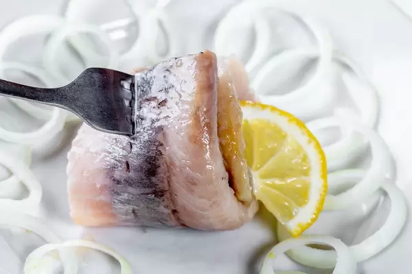 Close Up Food Photo of a Herring filet with a Slice of Lemon and fresh Onions on a white Plate