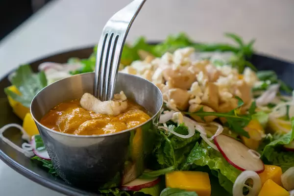 Close Up Food Photo of Mango Curry Chicken Breast with Grilled Chicken Breast on a Fork in a Curry Dip