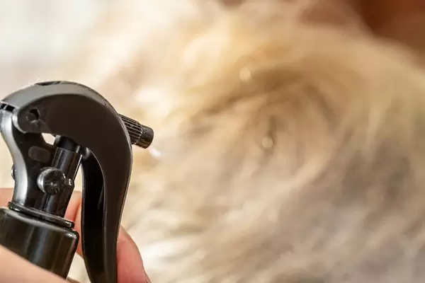 Close-up, hairspray spray fixes styling