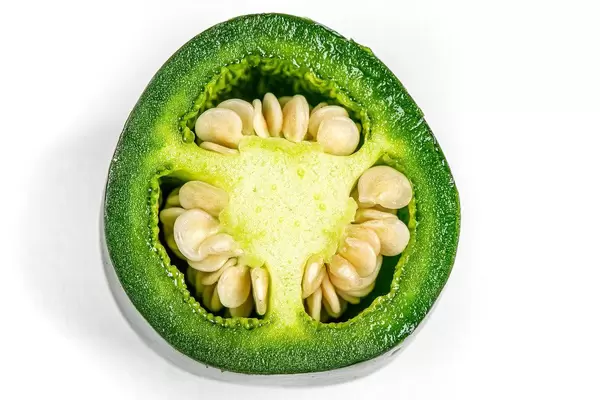 Close up, half jalapeno pepper with seeds