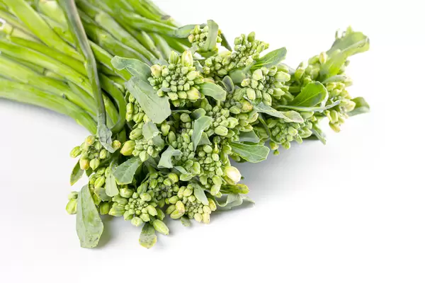 Close-up, inflorescences of fresh broccolini