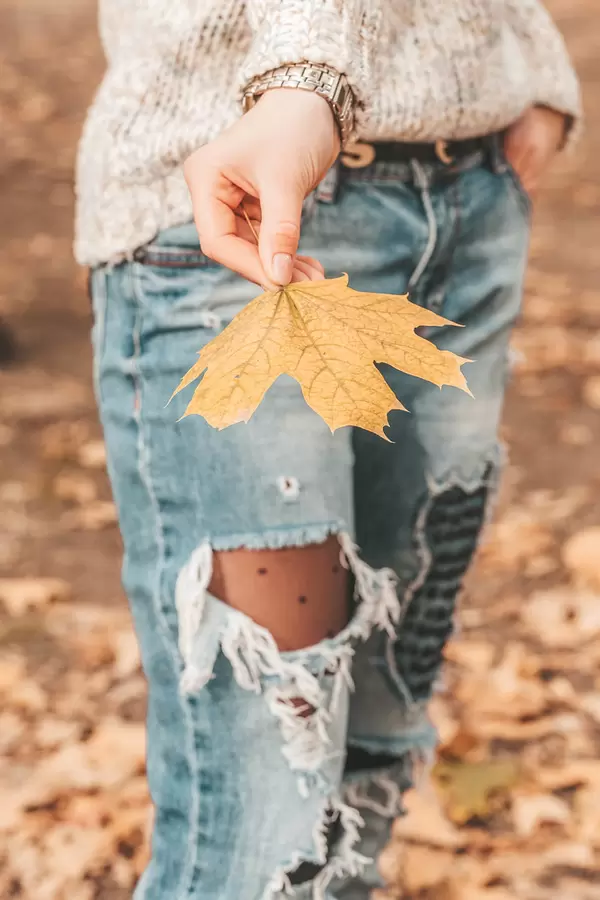 Close-up, maple leaf in a female hand
