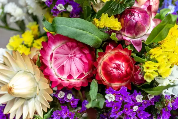 Close-up of a bouquet of flowers immortelle (Flip 2019)