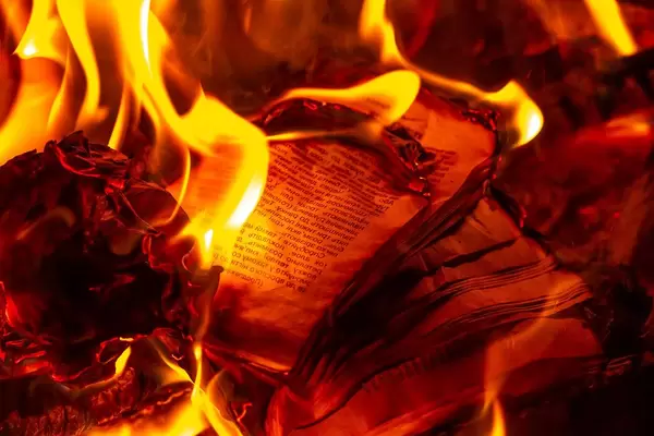 Close up of a burning book (Flip 2020)