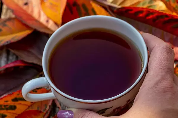 Close up of a Cup of tea in a woman's hand with autumn leaves (Flip 2019)