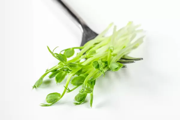 Close - up of a fork with fresh micro-green peas on a white background (Flip 2020)