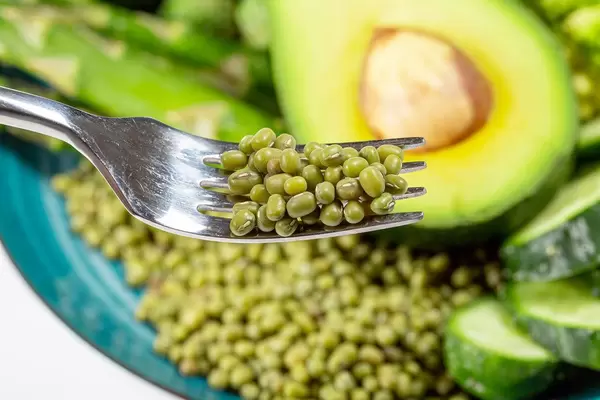 Close-up of a green mung on a fork (Flip 2020)