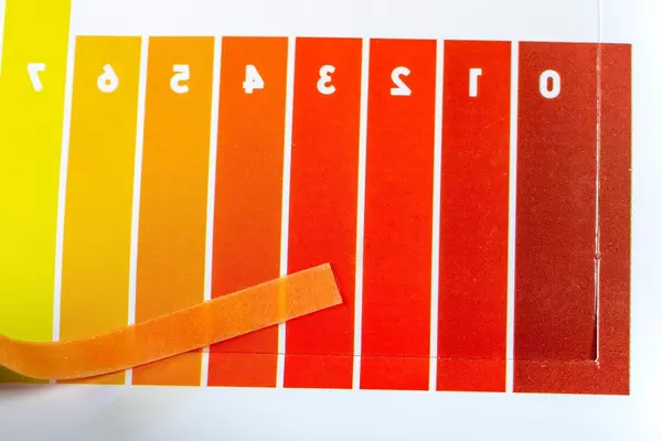 Close-up of a indicator paper with sour testing (Flip 2020)