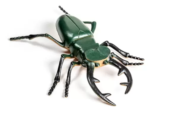 Close-up of a large stag beetle toy on a white background