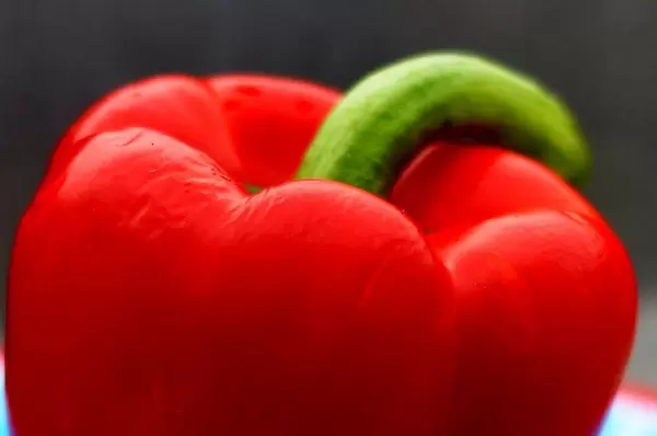Close-up of a red capsicum
