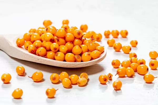 Close-up of a wooden spoon with fresh yellow sea buckthorn berries (Flip 2019)