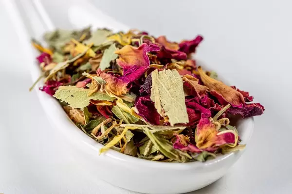 Close-up of Australian green tea with flower petals in a white spoon (Flip 2020)