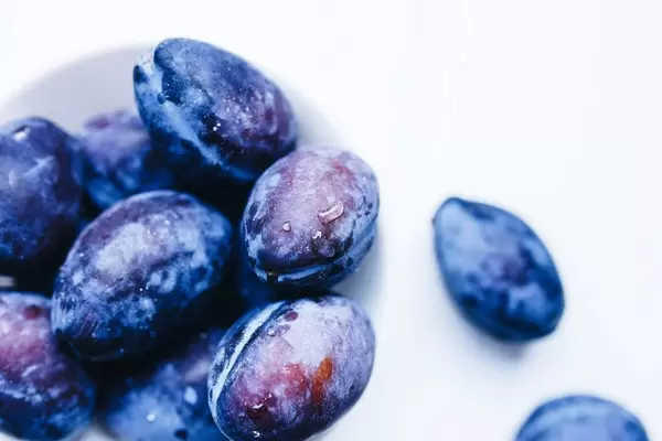 Close up of blue plums and water drops on them