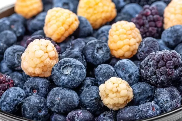 Close-up of blueberries, raspberries and mulberries (Flip 2020)