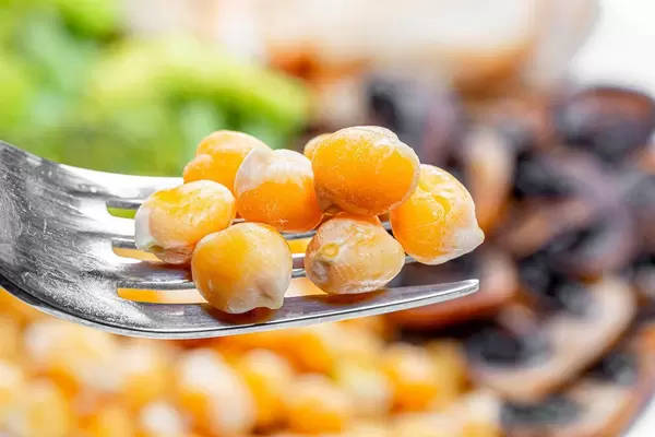 Close up of boiled chickpeas on a fork