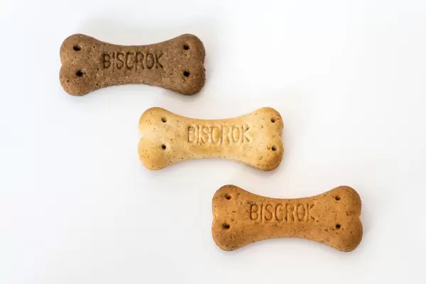 Close up of bone shaped dog treats on white backgroung