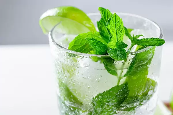 Close-up of cocktail with ice, fresh mint and lime