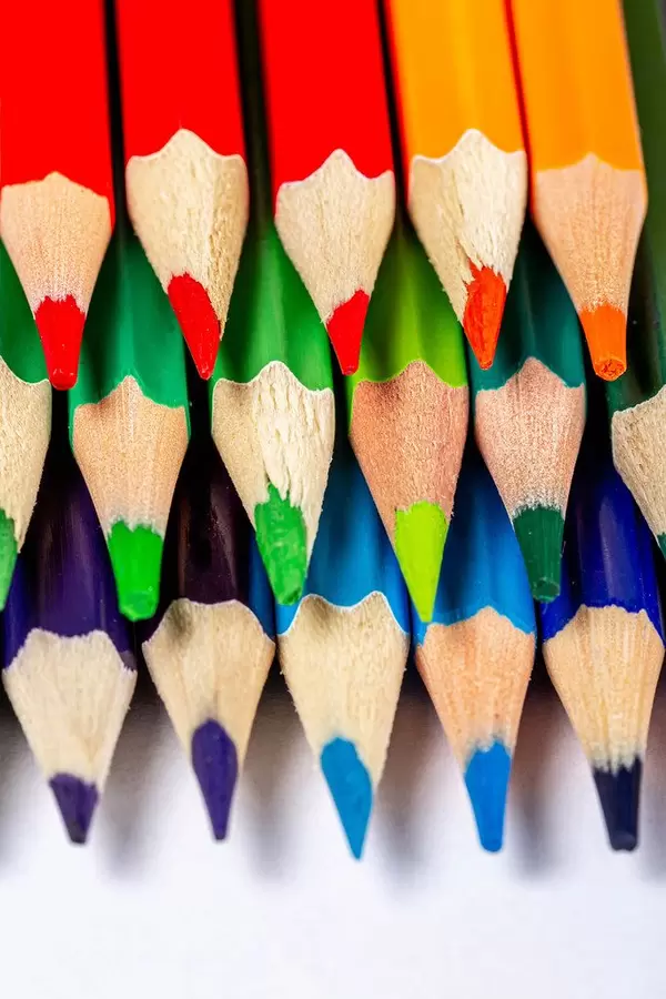 Close-up of colored pencils