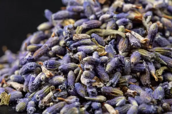 Close-up of dried lavender flowers (Flip 2020)