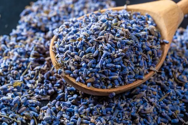 Close - up of dry lavender flowers in a wooden spoon